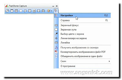 FastStone Capture 8.5 Rus Portable
