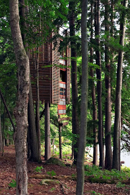 Cool Tree House