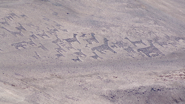 Chili-Géoglyphes (Tiliviche)