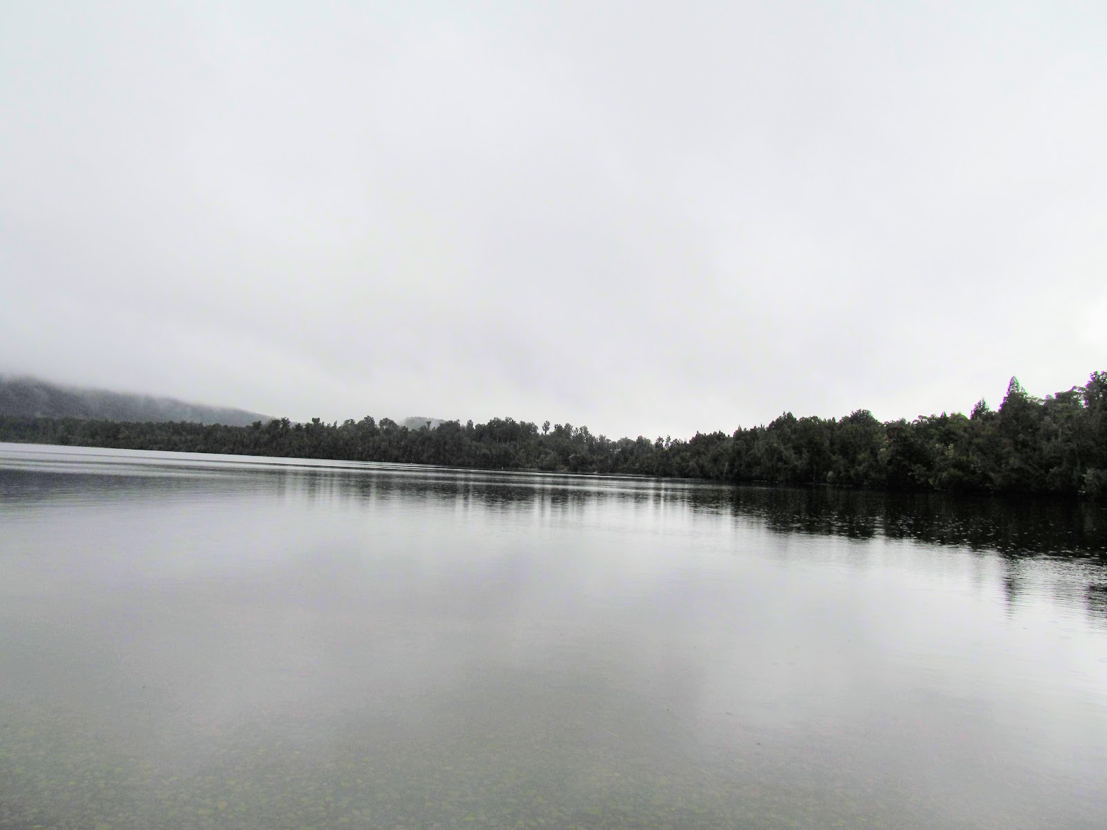 Tramping in the New Zealand backcountry NZ Bush Adventures Hokitika