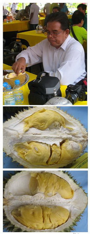 PESTA DURIAN