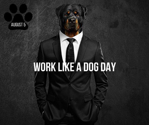 Work Like a Dog Day Work Like a Dog Day
