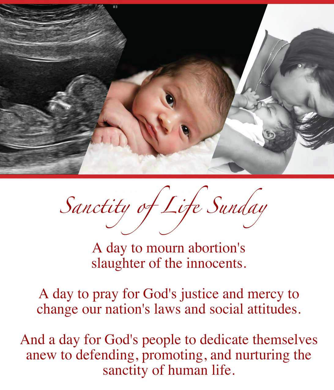 Vital Signs Tomorrow Is Sanctity of Life Sunday