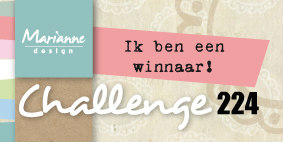 2e prijs bij Marianne design