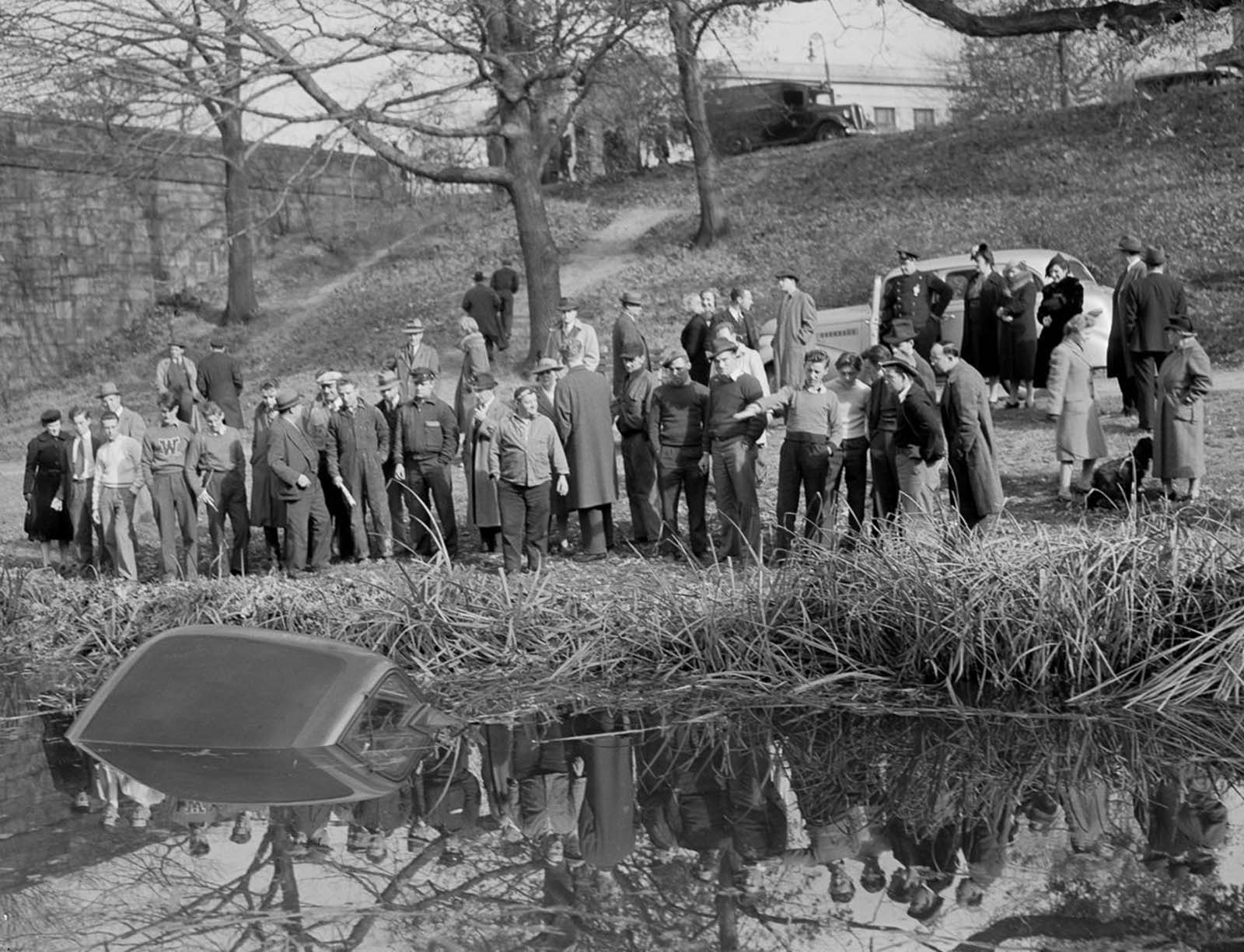 Фотографии 1930 х годов. Фотограф Лесли Джонс. Повседневность 1930-х годов. Итальянцы 1930-х. Пестициды в 40-х годах прошлого столетия.