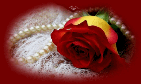 rosas-vermelhas.gif