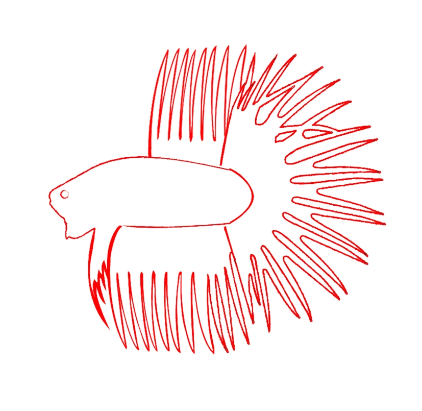 Populer 25+ Sketsa Ikan Cupang