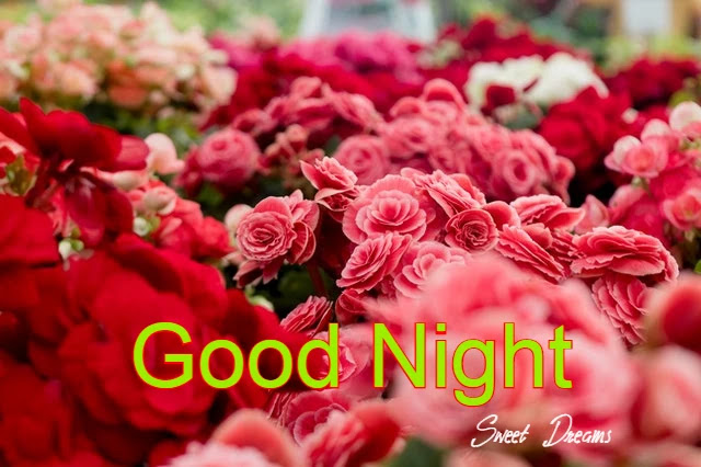 Good Night HD Images Collection Good Night HD Images Collection
