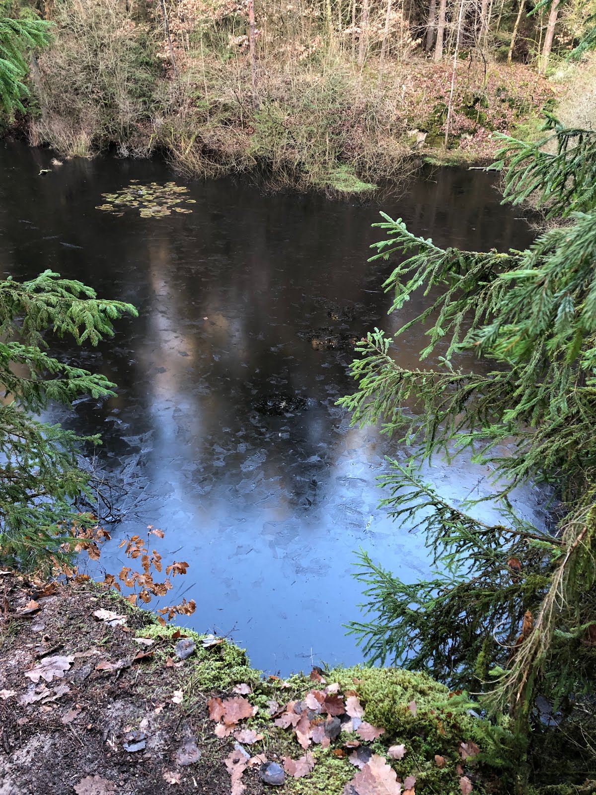 Aus D A S Wird Ergo Rechtsschutzversicherung Ergo