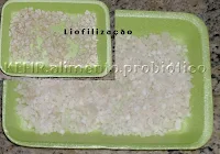 Kefir Alimento Probiótico