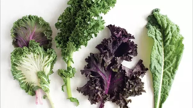 benefits of kale food Eating