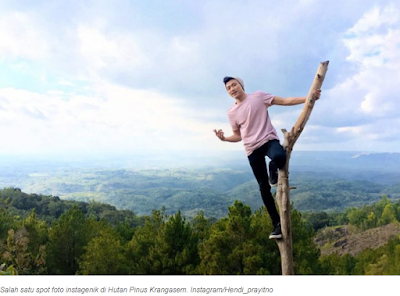 10 Spot Hunting Foto Keren Hutan Pinus Asri Karangasem