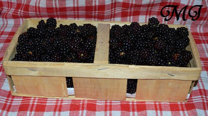 Brombeer-Lavendel-Marmelade