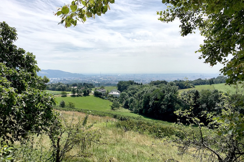 Beerenberg am Gründberg Beerenberg am Gründberg