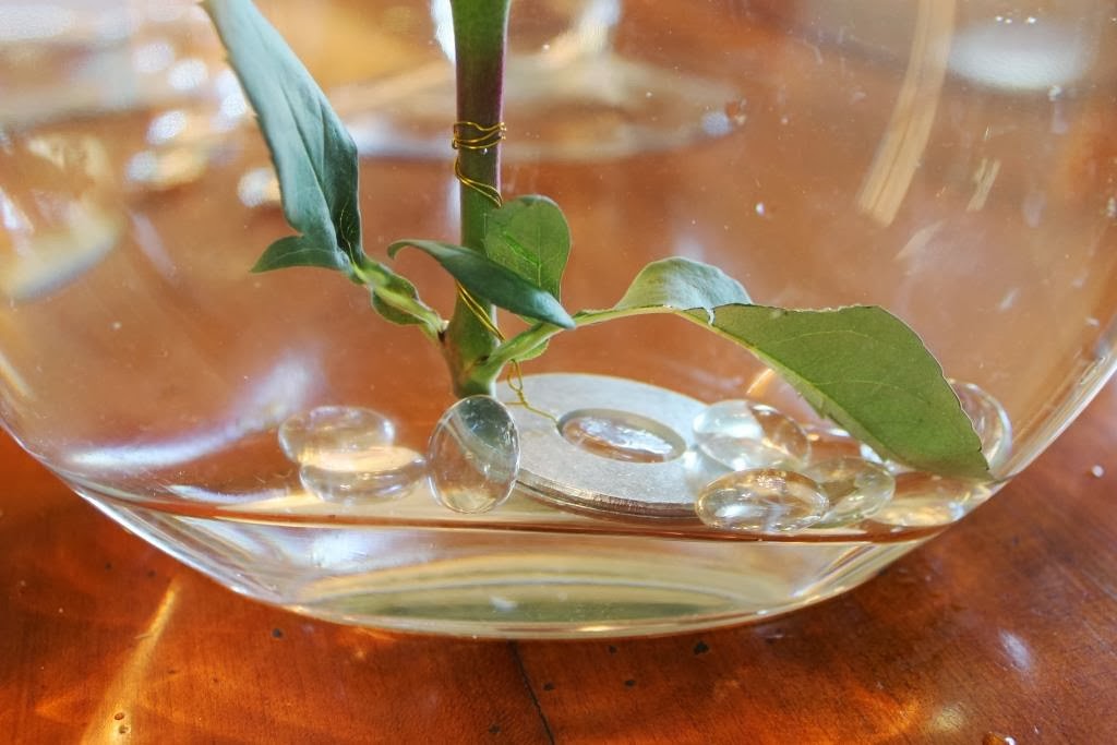 How To Submerge Flowers Miss Kopy Kat