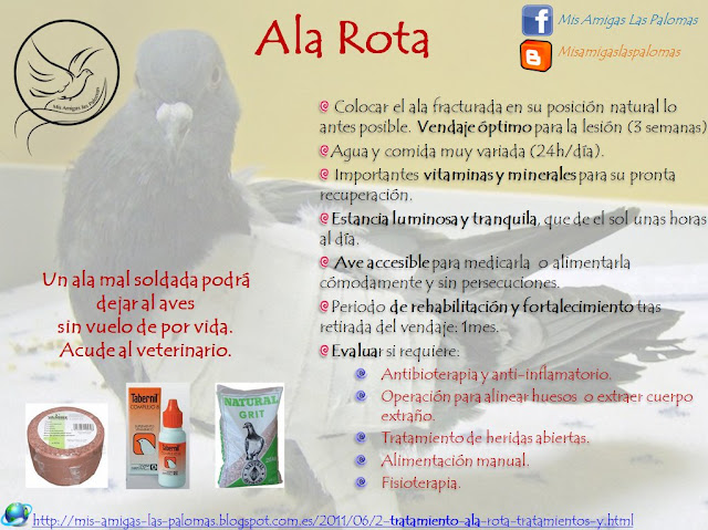 tiradas en el piso fotos rotas encontre la habitacion en llamas