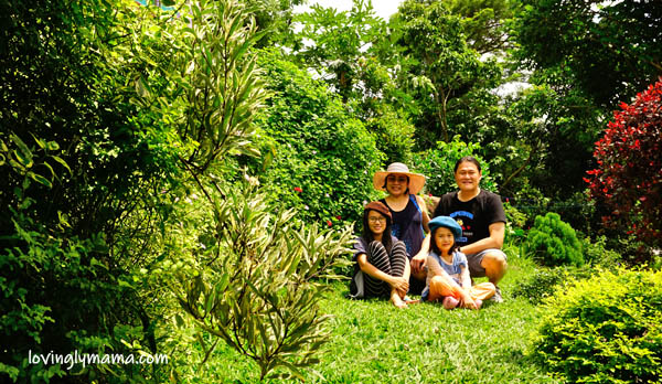 Negros Island tri-city family road trip, road trip, family trip, family travel, traveling with kids, road trip with kids, Ford, Ford Ranger Wildtrak, Bacolod City, Don Salvador Benedicto, San Carlos City, Canlaon City, Mt Canlaon, Mt Kanlaon, Canlaon Century Tree, Canlaon Balete tree, Canlaon national park, Norther Negros National Park, NNNP, Negros Forests, Cafe La Guada, Cafe La Guada DSB, DSB restaurants, Don Salvado Benedicto restaurants, fried frog, adobong eel, Kusinata, roadside cafe, DSB cafes, Don Salvador Benedicto food trip, San Carlos City, San Carlos City overnight stay, San Carlos City pasalubong, San Carlos City peanuts, DSB pineapples, Ford Negros, Ford trucks, San Carlos City hotels, FB Travellers Inn, Eco-tourism Highway, Canlaon, Mt. Canlaon, Mt. Kanlaon, Canlaon City, Canlaon Century Tree, Canlaon natural park, Canlaon Balete tree, Canlaon Century tree darakit, Canlaon century tree, directions, Negros Occidental, Negros Oriental, Negros Island, Philippines, Visayas