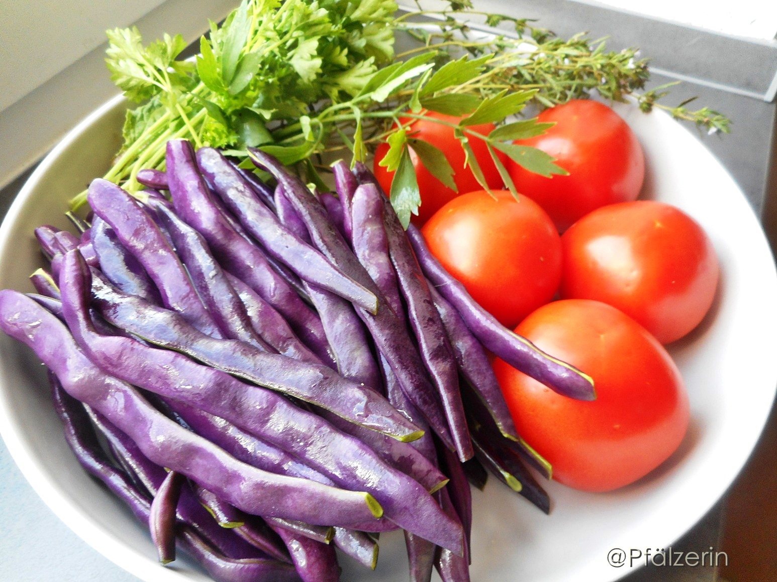 Freude am Garten Zuhause bin ich am liebsten Blaue Bohnen