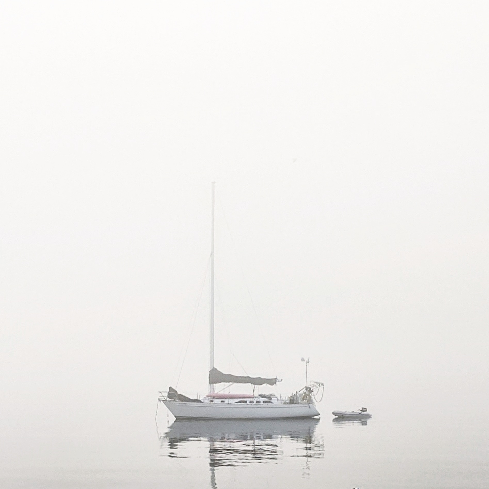 Just Released Tequila Haze By Melissa Toppen Rochelle S Reviews