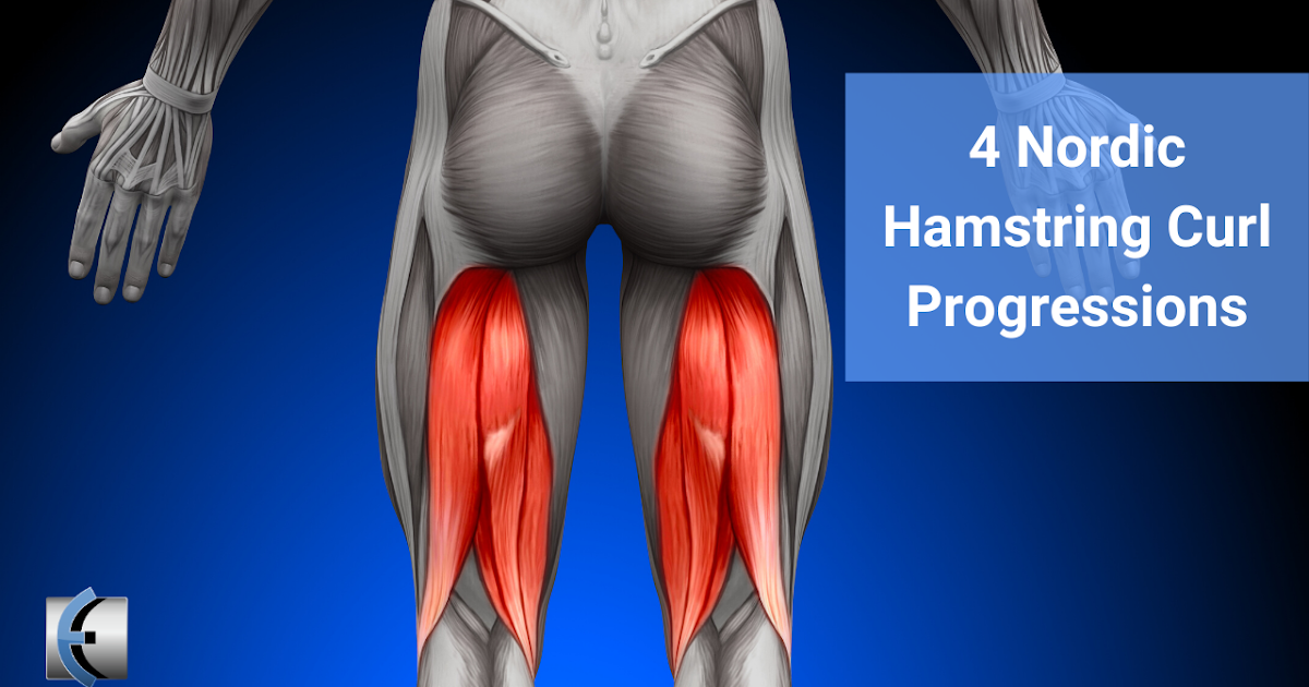 Top 4 Fridays! 4 Nordic Hamstring Curl Progressions Modern Manual