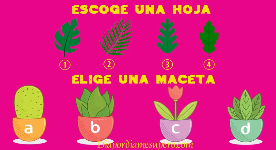 Oráculo: ¿Cómo será tu semana? Oráculo: ¿Cómo será tu semana?