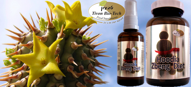 טבעון ביוטק דיאטת כמוסות ותרסיס