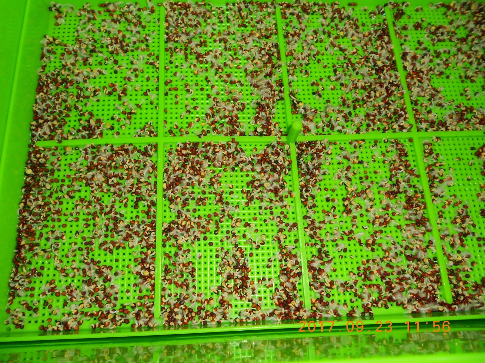 �����R,�����R��,���Ⱚ�R��,������ŵ�,�����R��i,�����R����i,�����ŵ��ܦ�,�����ŵ浵���ߵ�,�����R��