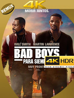 Bad Boys para Siempre (2020) BDRemux [4K 2160p] Latino [Google Drive] Panchirulo