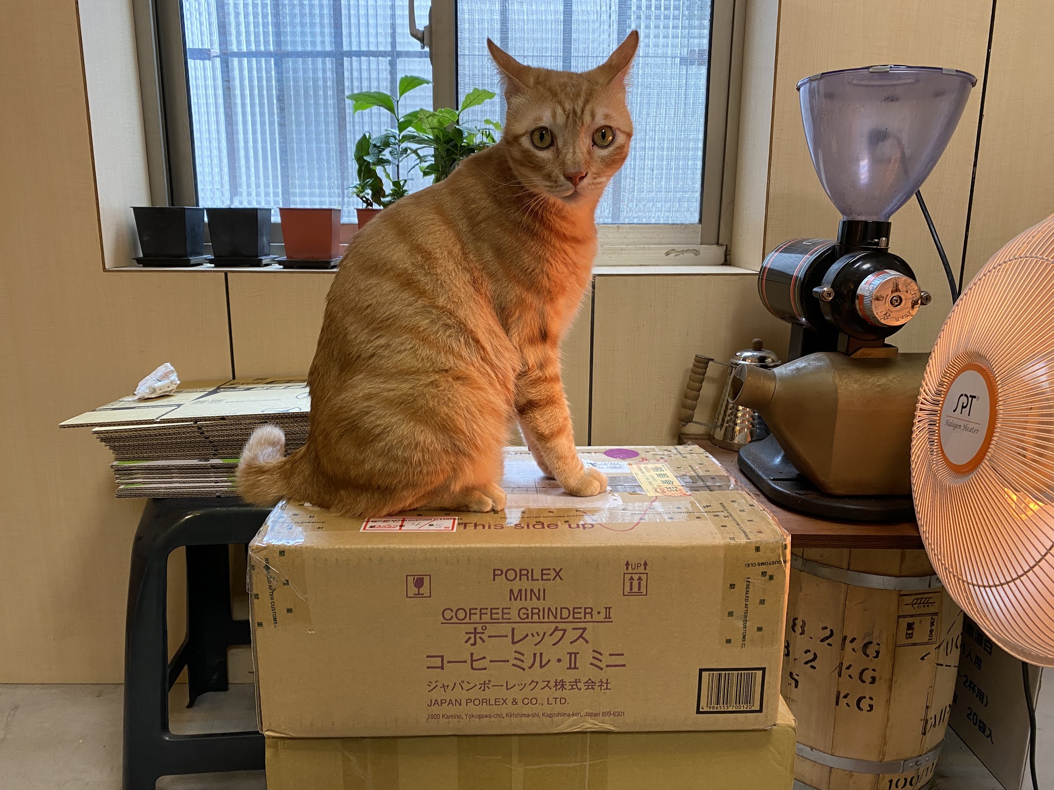 傻爸の條碼珈琲 版porlex Mini Ii 全新到貨