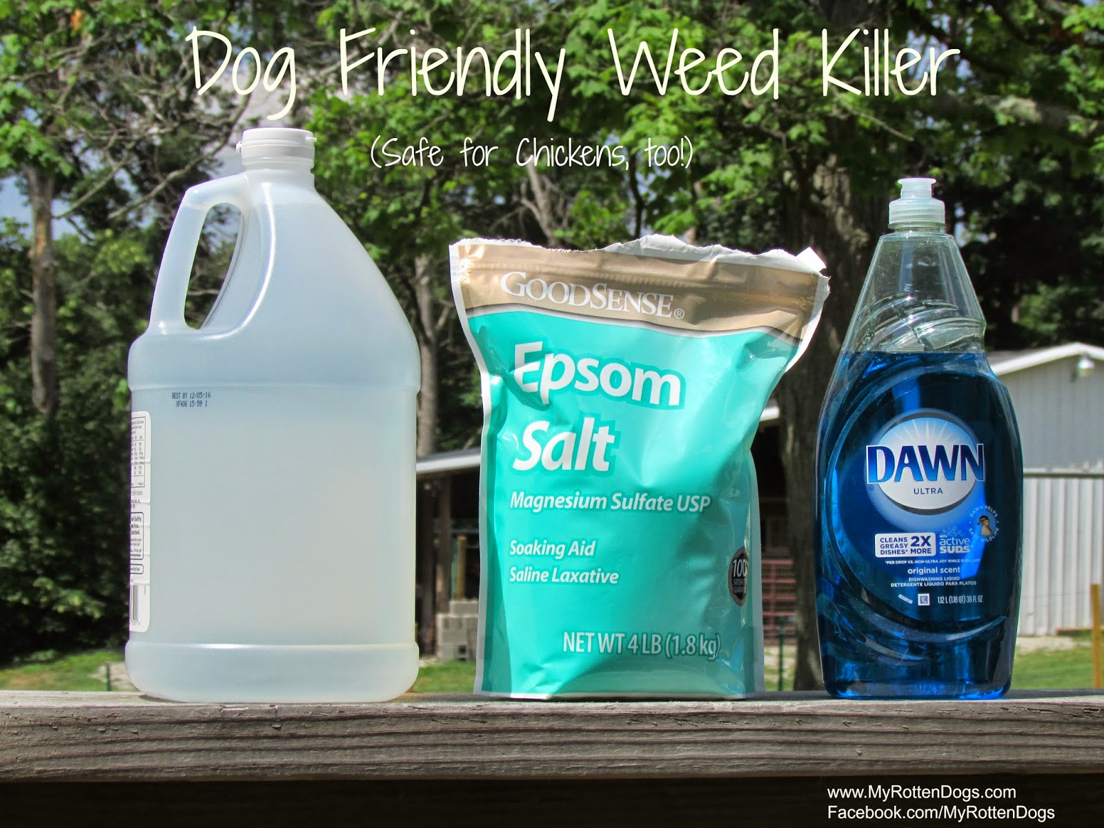 weed killer safe for pets weed killer safe for pets