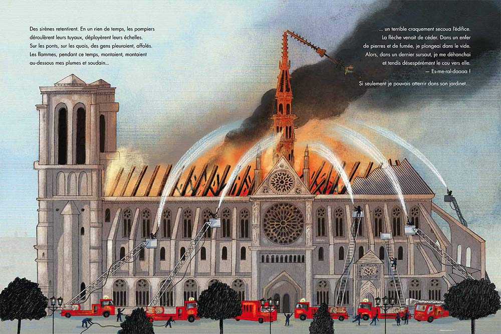 LE COQ DE NOTREDAME/ GÉRALDINE ELSCHNER ET ILLUSTRÉ PAR RÉMI SAILLARD