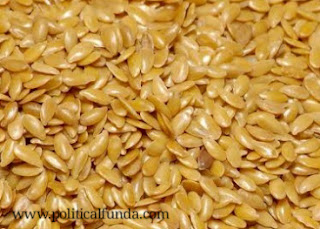 Flaxseed image download