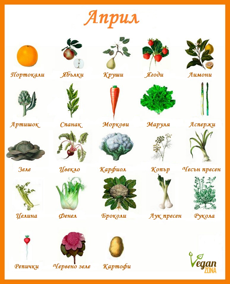 Sezonni Plodove I Zelenchuci Prez Mesec April Veganzona