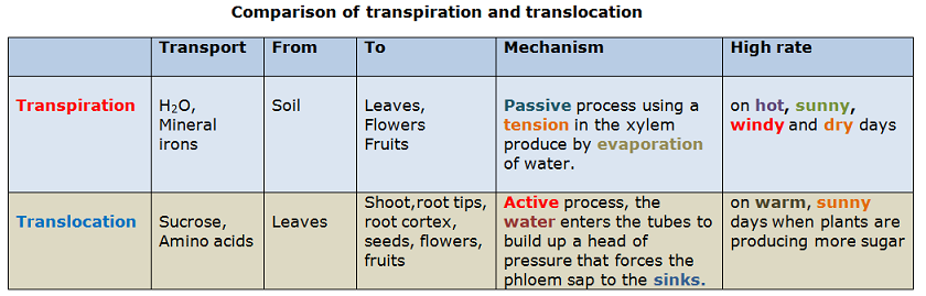 epub transgenic and mutant tools to model