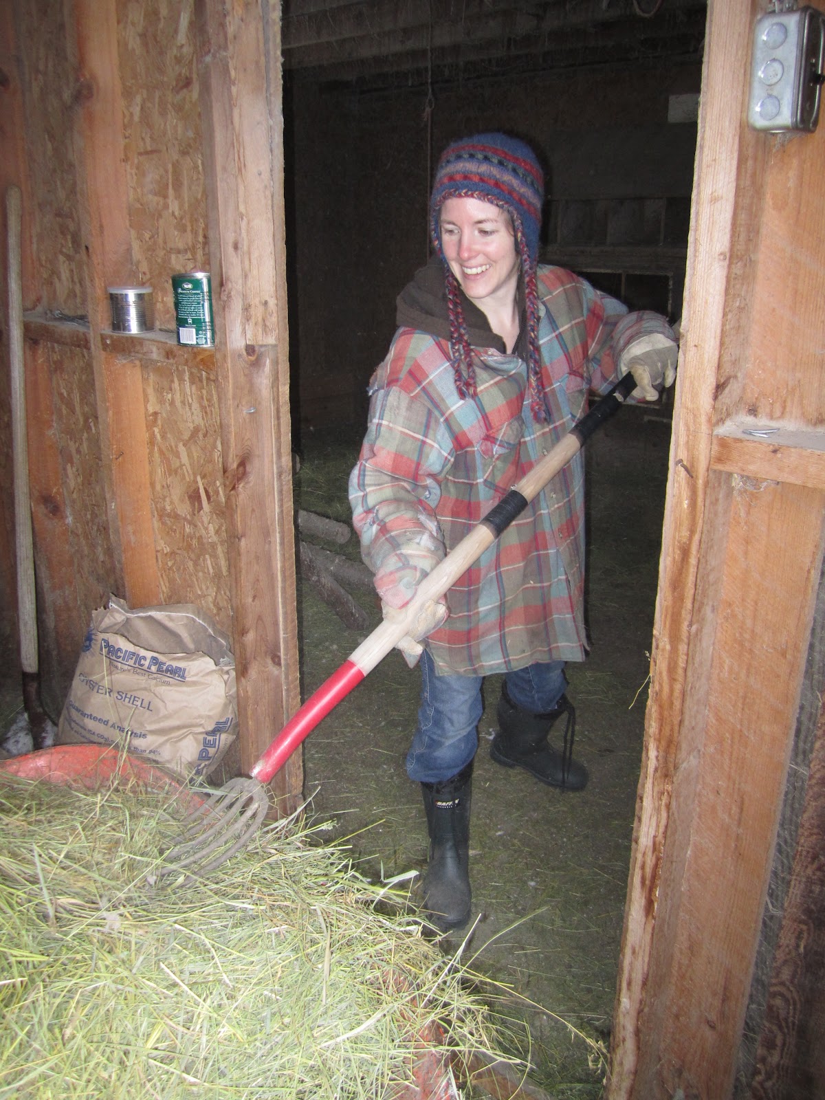 Cariboo Gals Cleaning out the chicken coop