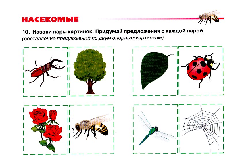 Занятие мир насекомых. Насекомые задания для дошкольников. Тема насекомые для дошкольников. Задания на тему насекомые в подготовительной группе. Насекомые детям средней группы.