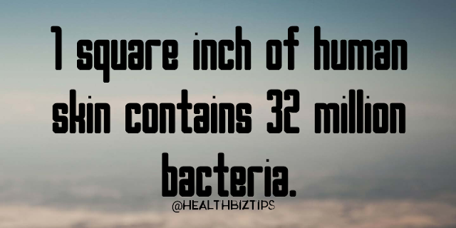 1 square inch of human skin contains 32 million bacteria.