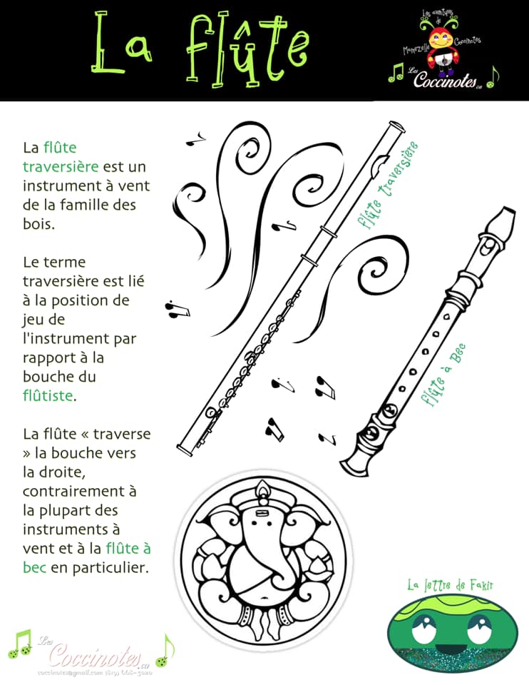 Qui Veut Gagner La Flûte à Bec LA FLÛTE