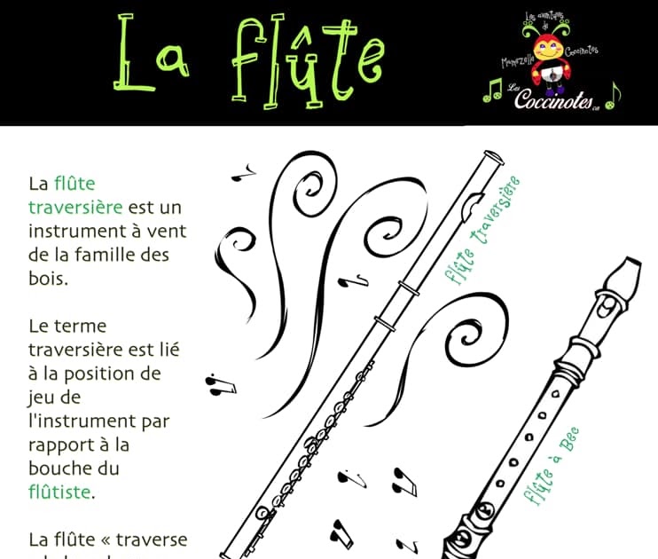 Qui Veut Gagner La Flûte à Bec LA FLÛTE
