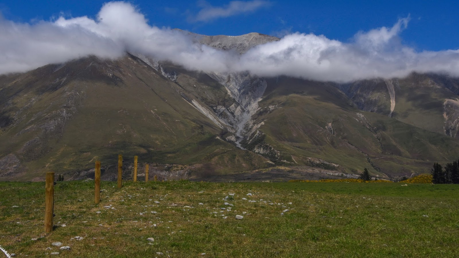 Paws Awhile Lake Coleridge & Village