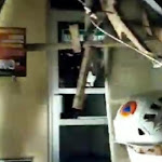 Bobol Videotron Ruang Tunggu Rs Siloam Tampilkan Adegan Ciuman Kok Bisa Inijabar Com