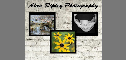 Alan Ripley Photography