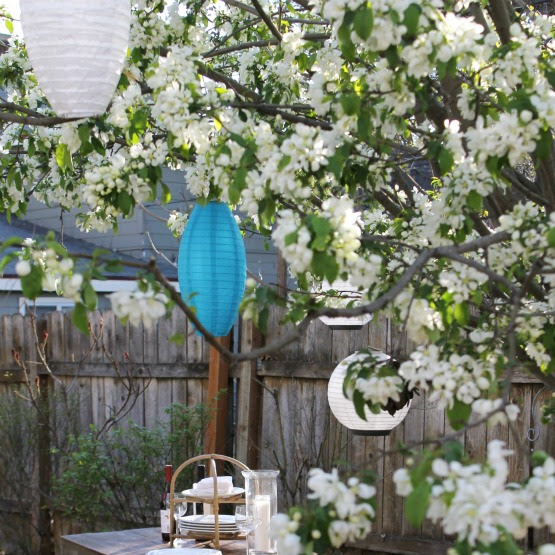 How to give a weathered look to a budget friendly picnic table