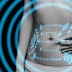 Information About How to Lose Fat Not Muscle