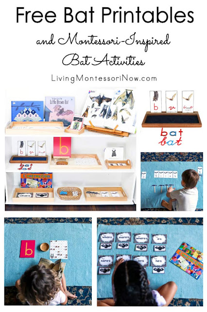 Montessori Inspired Bat Activities Using Free Printables LaptrinhX News montessori-inspired-bat-activities-using-free-printables-laptrinhx-news