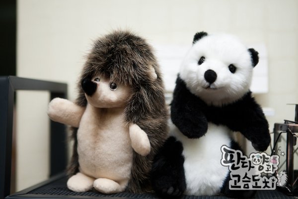 Seoul Addict: Look into Drama, Panda and Hedgehog..