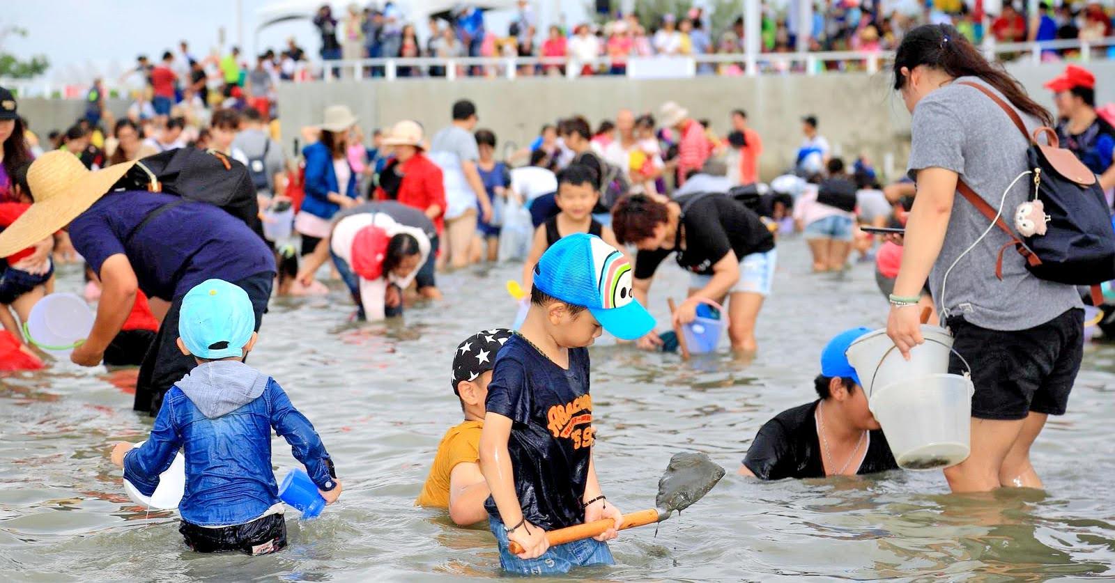 挖文蛤體驗時間確定8/1、8/16兩天|2020台南七股海鮮節8/1-9/15開跑|活動
