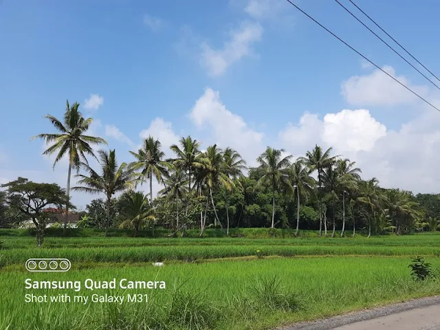 Hasil Foto Kamera Samsung Galaxy M31