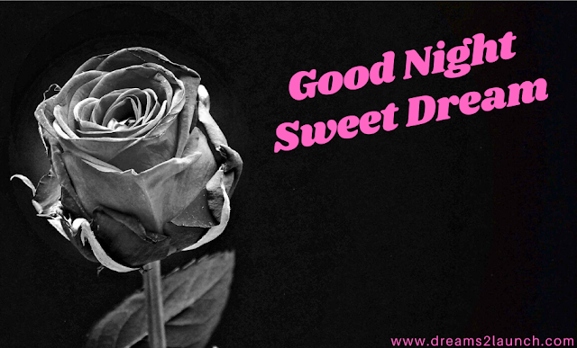 good night image rose