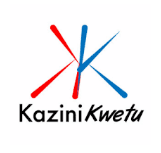 Graphic Designer – Intern Opportunity at kazini kwetu